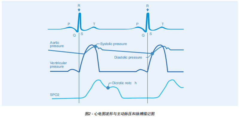 Rigel系列醫(yī)療測(cè)試設(shè)備之生命體征測(cè)量方法